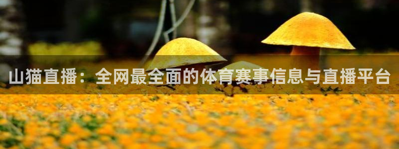 袋鼠体育直播下载：山猫直播：全网最全面的体育赛事信息与直播平台