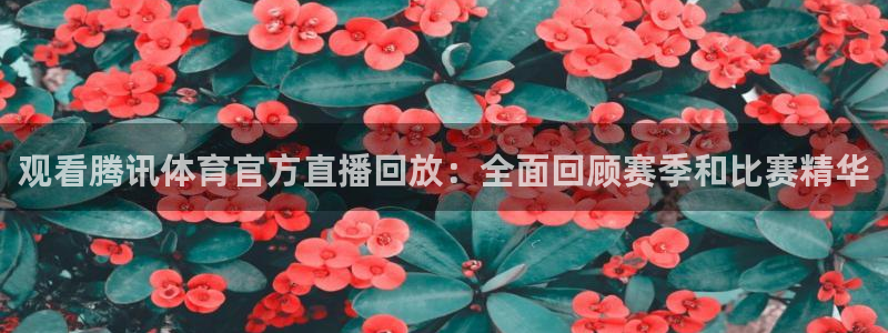袋鼠直播nba免费观看足球：观看腾讯体育官方直播回放：全面回顾赛季和比赛精华