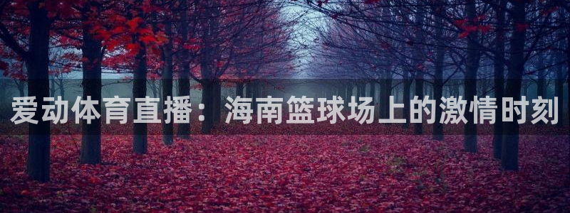 袋鼠体育直播：爱动体育直播：海南篮球场上的激情时刻