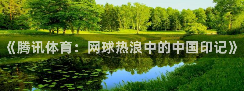 袋鼠直播nba在线观看：《腾讯体育：网球热浪中的中国印记》
