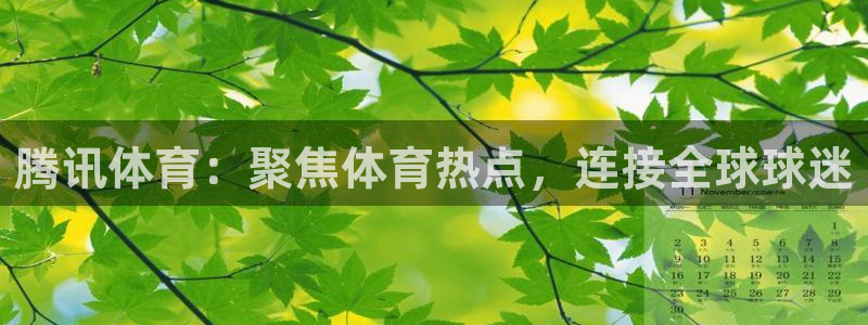 袋鼠直播体育在线：腾讯体育：聚焦体育热点，连接全球球迷