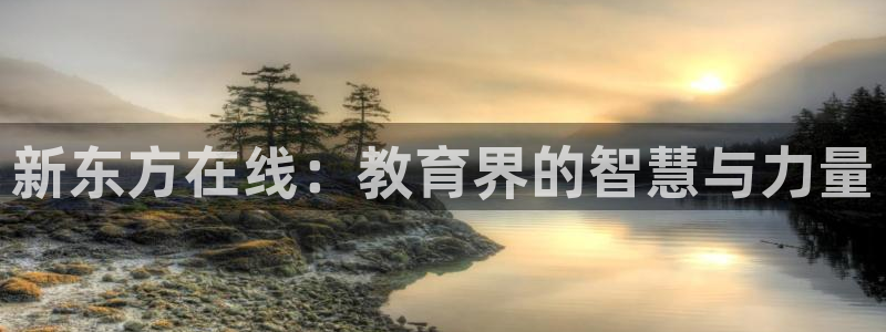 袋鼠直播体育app：新东方在线：教育界的智慧与力量