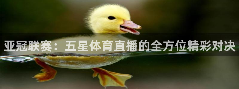 袋鼠直播体育发布v14版本.一键得好礼.org：亚冠联赛：五星体育直播的全方位精彩对决