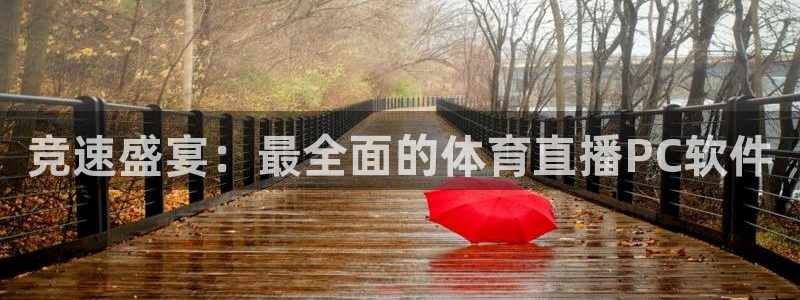 袋鼠在线体育直播：竞速盛宴：最全面的体育直播PC软件