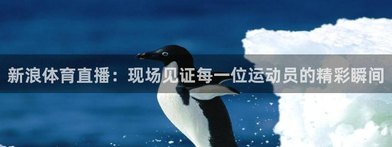 袋鼠直播体育：新浪体育直播：现场见证每一位运动员的精彩瞬间